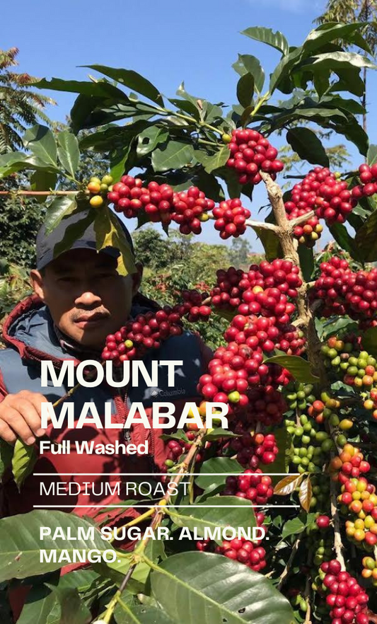 Mount Malabar - Washed