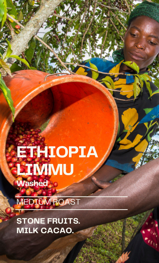 Ethiopia Limmu