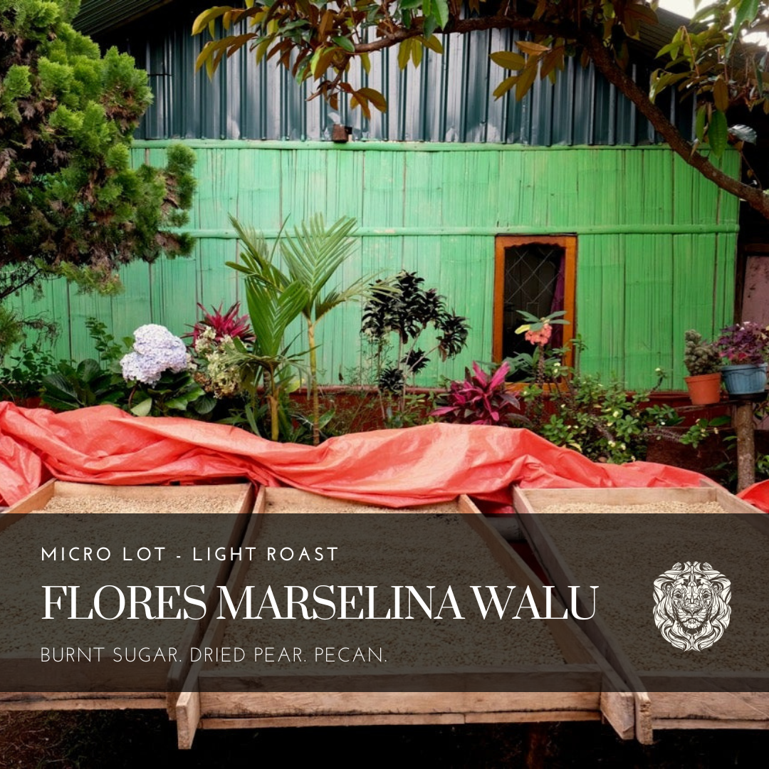 Flores Marselina Walu Washed