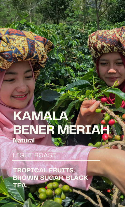 Limited Series - Bener Meriah Kamala #3