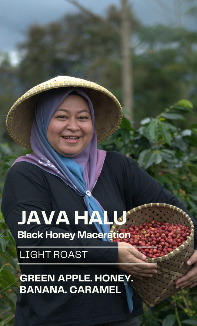 Java Halu Black Honey - Limited Series