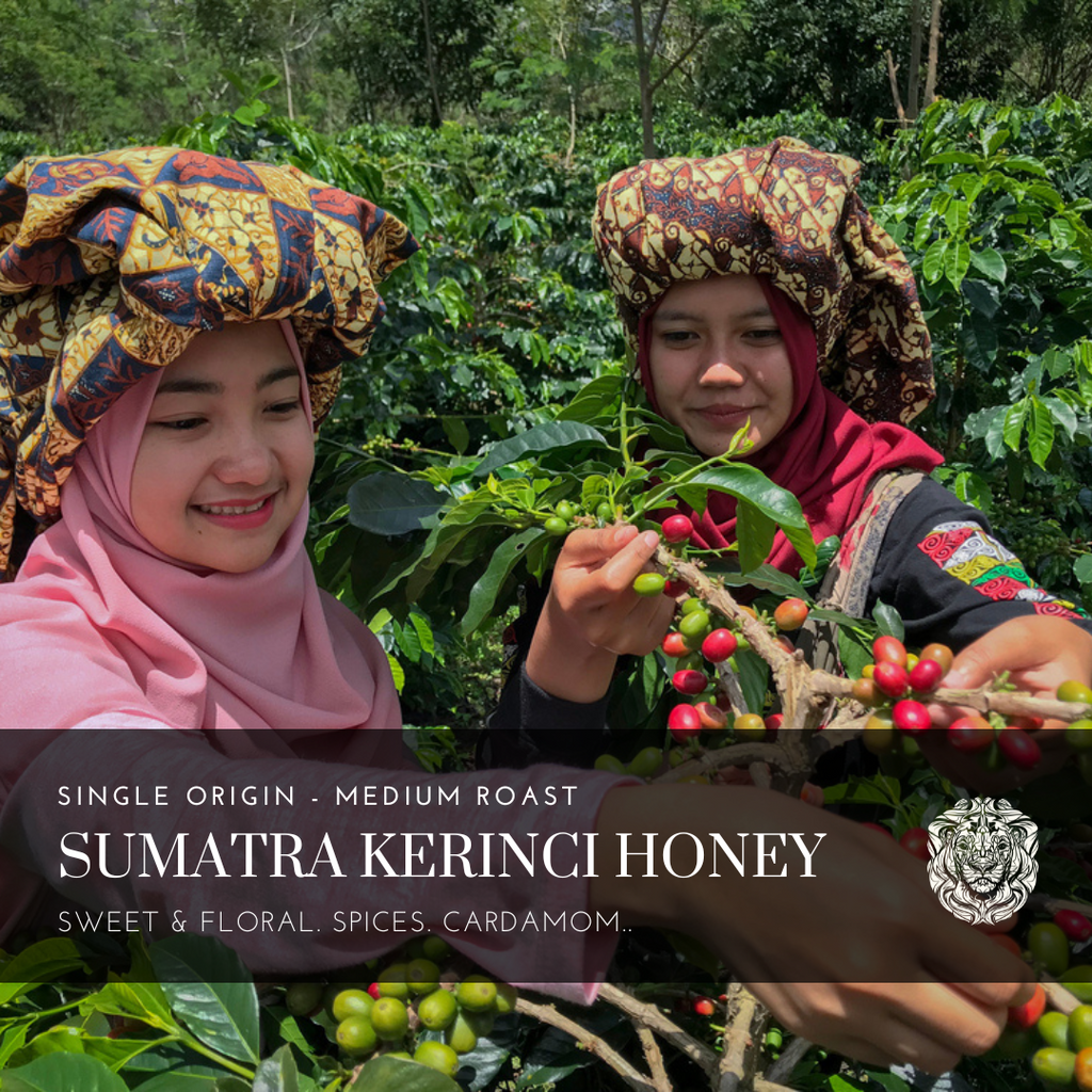 Sumatra Kerinci Honey