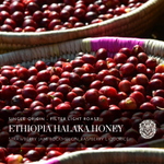 Ethiopia Halaka