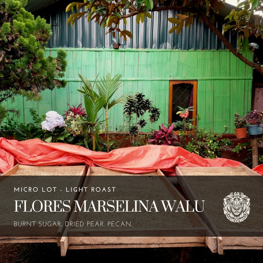 Flores Marselina Walu Washed