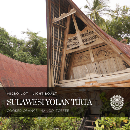 Sulawesi Yolan Tirta Washed