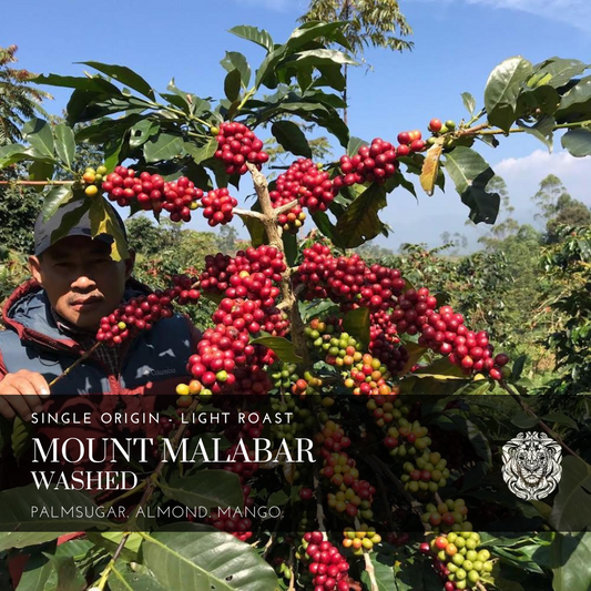 NEW! Mount Malabar - Washed