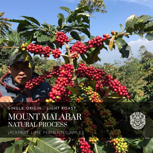 NEW! Mount Malabar - Natural